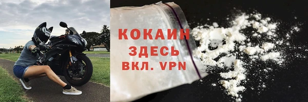 хмурый Белокуриха
