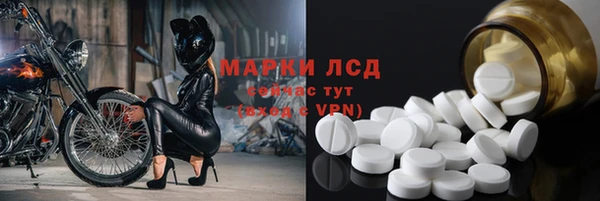 хмурый Белокуриха