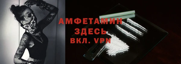 дживик Богородск