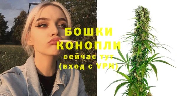 дживик Богородск