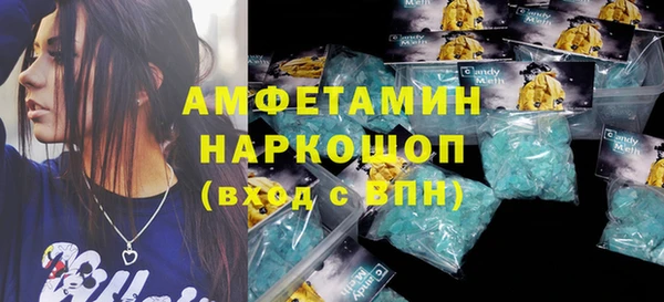 крисы Богородицк