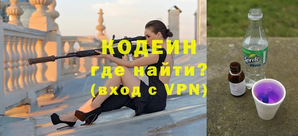 хмурый Белокуриха